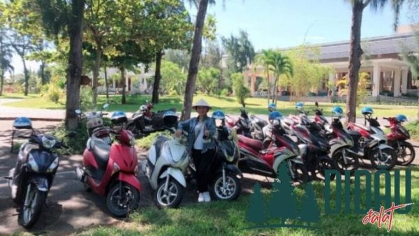 Dịch vụ cho thuê xe máy tại Gia Lai