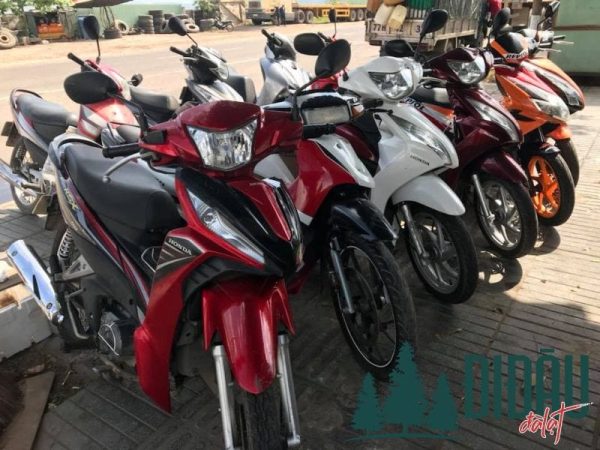 Dịch vụ cho thuê xe máy tự lái IFL Gia Lai