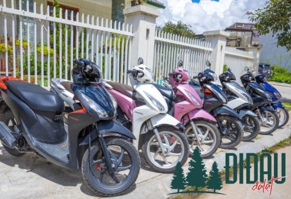 Du lịch VietPlus – Open