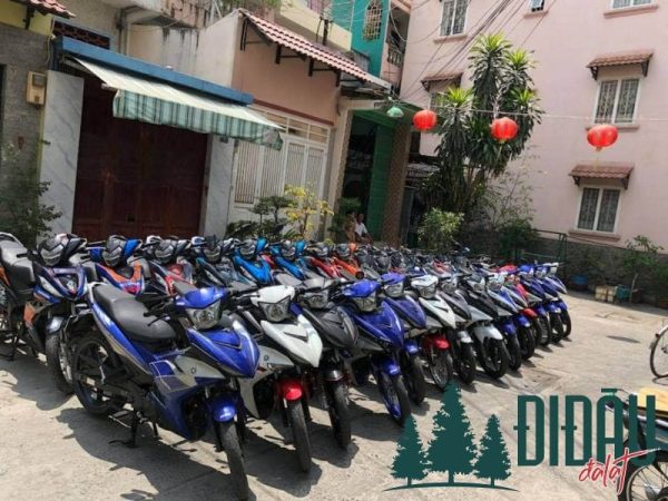 Hiếu Homestay