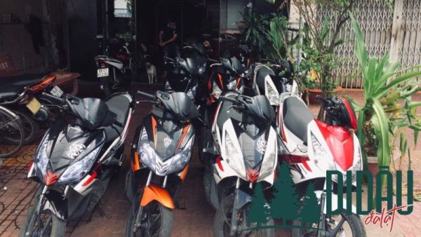 Hostel Bụi