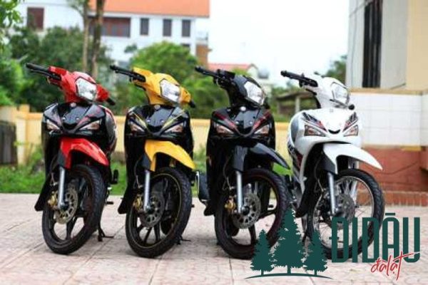 Khách sạn Đông Trường Sơn