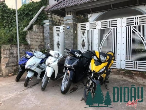 Khách sạn Thông Xanh