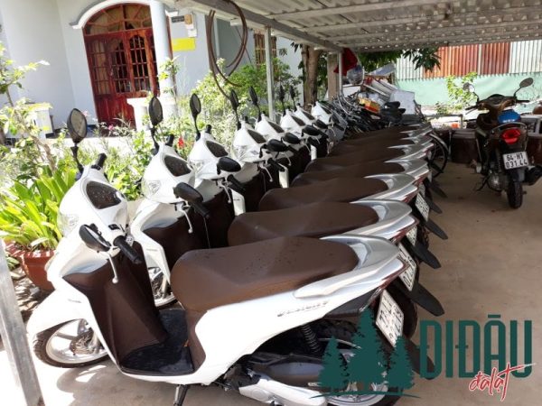 Nhà nghỉ Homestay Võ Gia