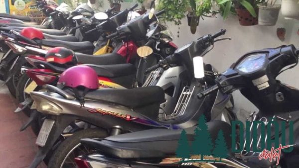 Rent motorbike Hai Phong