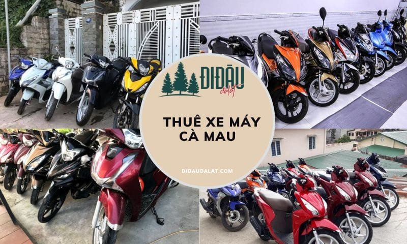 Top 9 địa chỉ thuê xe máy Cà Mau đảm bảo uy tín, giá rẻ