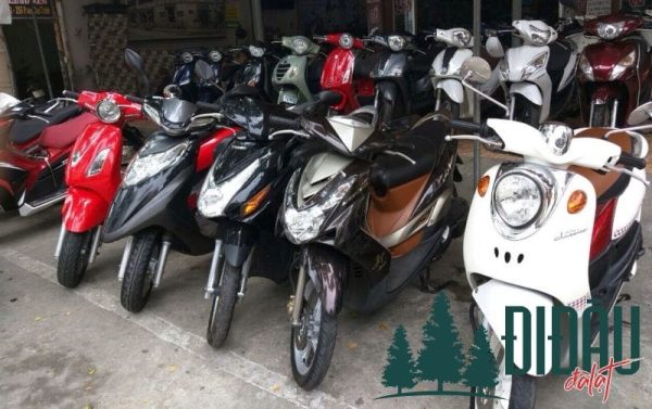 Thuê xe gắn máy 26