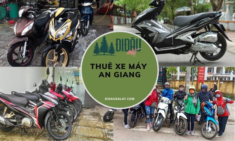 Tổng hợp địa chỉ thuê xe máy An Giang nhanh chóng, đơn giản