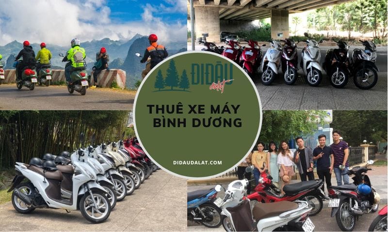 Top 11 địa điểm thuê xe máy Bình Dương giá rẻ giao tận nơi