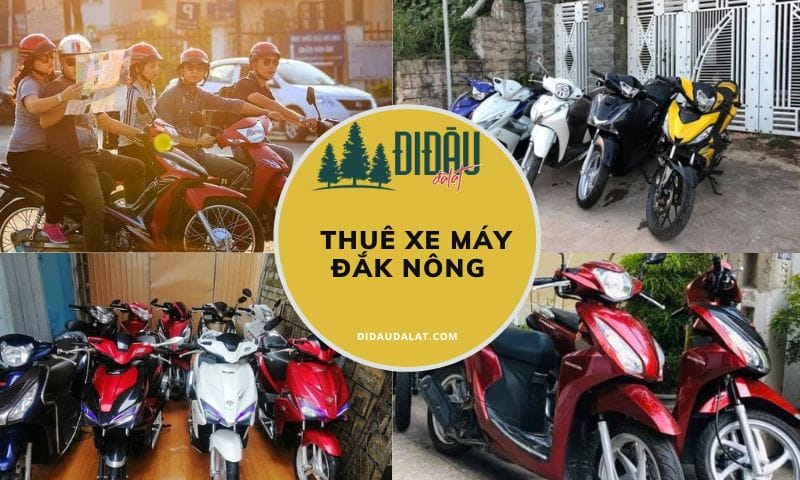 Top 5 địa điểm thuê xe máy Đắk Nông nhanh chóng và dễ dàng nhất