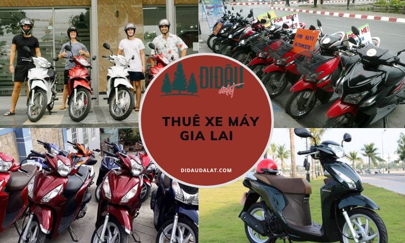 Top 11 địa điểm thuê xe máy Gia Lai với nhiều ưu đãi nhất hiện nay