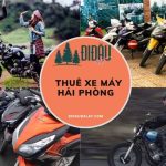 Thuê xe máy Hải Phòng