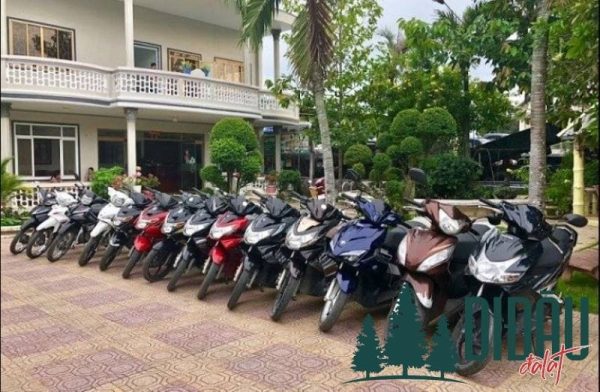 Thuê xe máy Nguyên Vũ