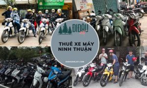 Thuê xe máy Ninh Thuận