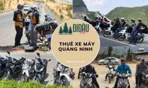 Thuê xe máy Quảng Ninh