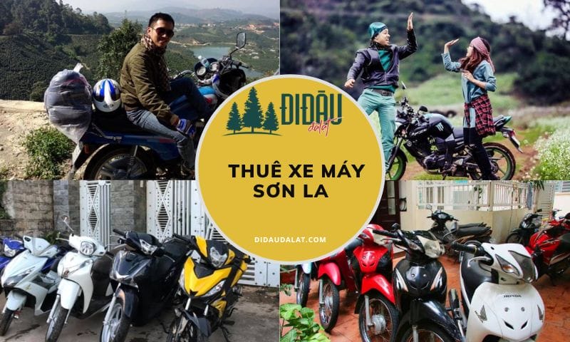 Tổng hợp 15 địa chỉ thuê xe máy Sơn La kèm nhiều ưu đãi nhất hiện nay