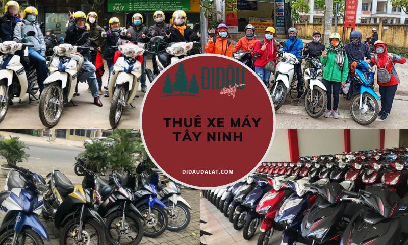 Tổng hợp 6 địa chỉ thuê xe máy Tây Ninh dành riêng cho bạn