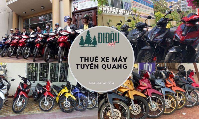 Top 8 địa chỉ thuê xe máy Tuyên Quang giá mềm dành cho bạn