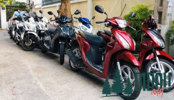 Vương Hà Hải