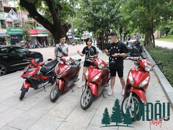 Cho thuê xe Anh Trưởng 