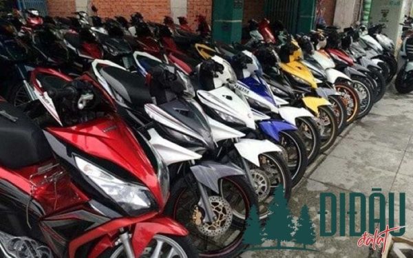 Cho thuê xe máy Bảo Tú 