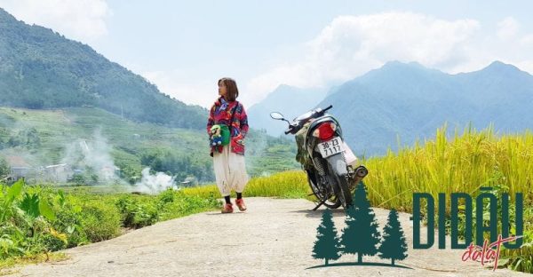 Ninh Trang