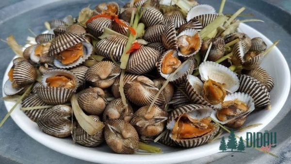Sò huyết hấp sả
