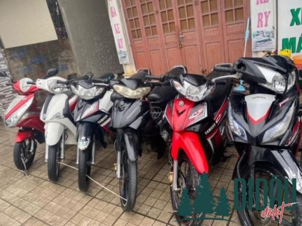 Thuê xe máy Bùi Minh Nghĩa