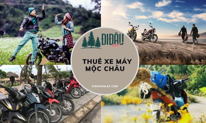 Danh sách 11 địa điểm thuê xe máy Mộc Châu giá rẻ, xe mới keng