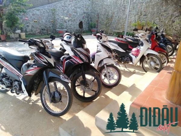 Thuê xe máy Thảo Nguyên