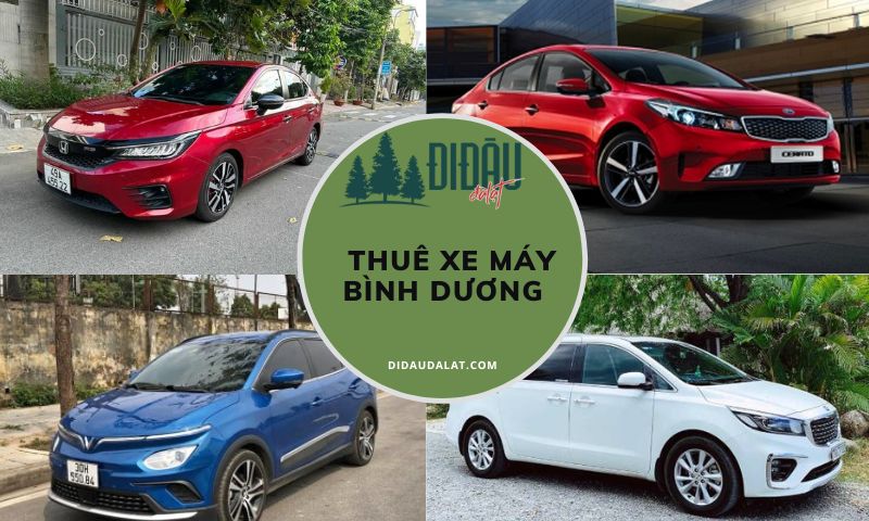 Tổng hợp 10 điểm thuê xe tự lái Bình Dương cực uy tín, chất lượng