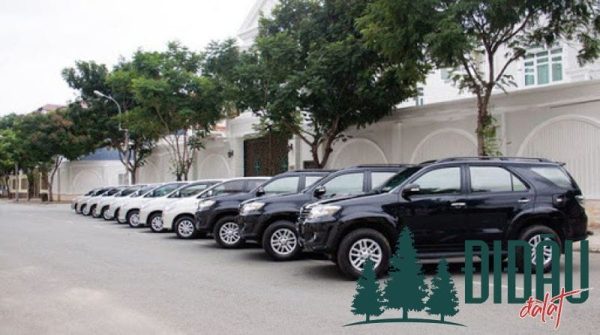 Thuê xe tự lái Ngọc Dương