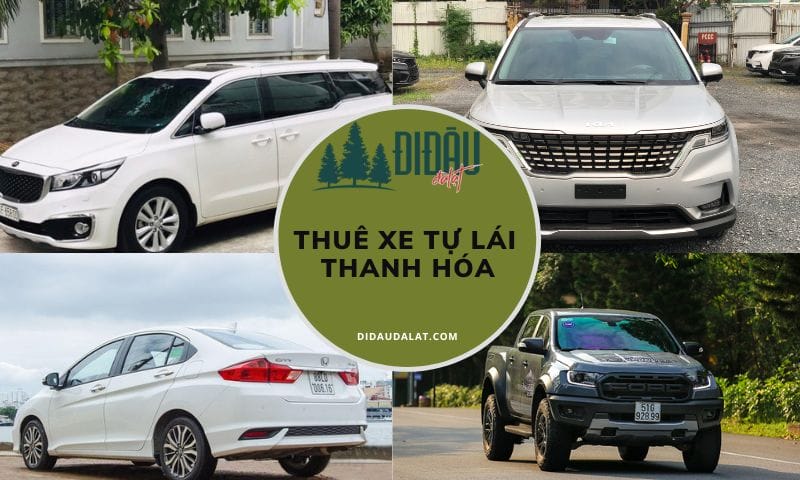 Tổng hợp 13 địa điểm thuê xe tự lái Thanh Hóa giao tận nơi
