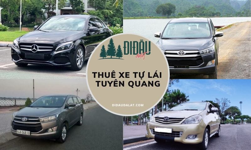 Tổng hợp địa chỉ thuê xe tự lái Tuyên Quang giá rẻ, thủ tục nhanh gọn