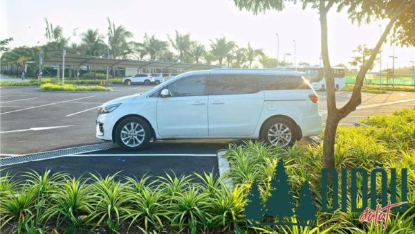 Thuê xe tự lái Tuyết Hồng