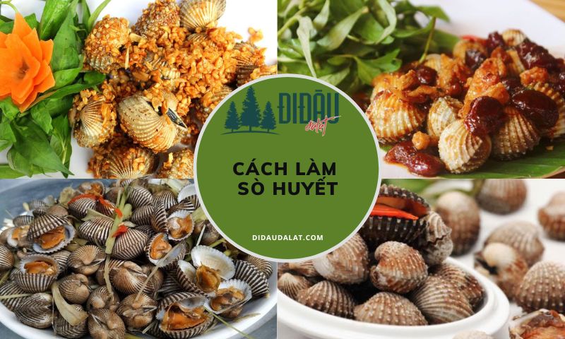 Tổng hợp 6 cách làm sò huyết ngon vô đối, đúng vị T07/2025