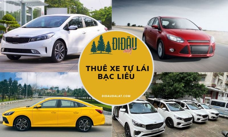 Tổng hợp 15 địa chỉ thuê xe tự lái Bạc Liêu chất lượng và giá tốt