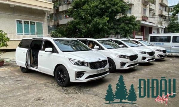 Thuê xe tự lái 7 chỗ giá rẻ