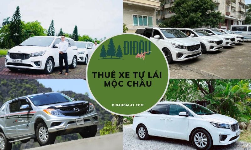 Tổng hợp địa chỉ thuê xe tự lái Mộc Châu đáng chọn nhất hiện nay