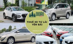 Thuê xe tự lái Yên Bái